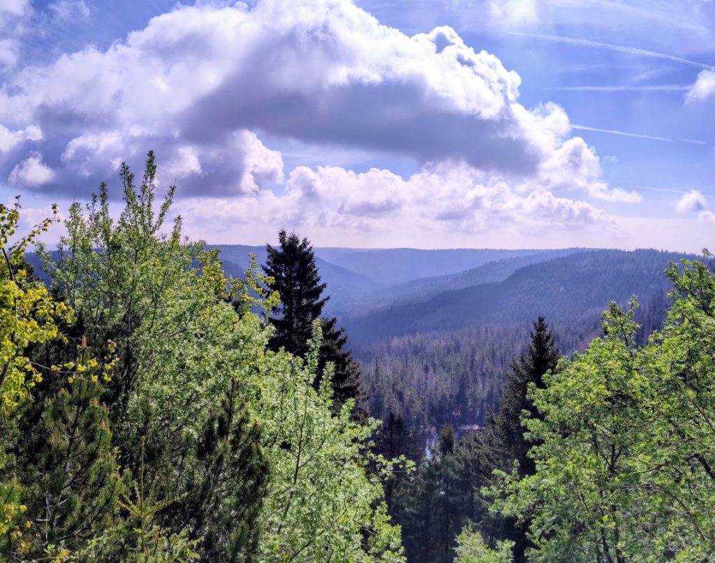 Ein Bild von der Landschaft im Hochschwarzwald