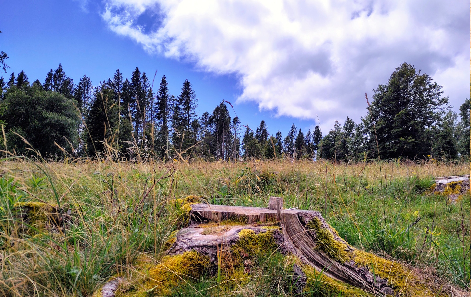 Wanderblog