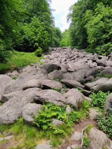 Tausende Steine bilden ein Felsenmeer