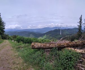 Schwarzwald